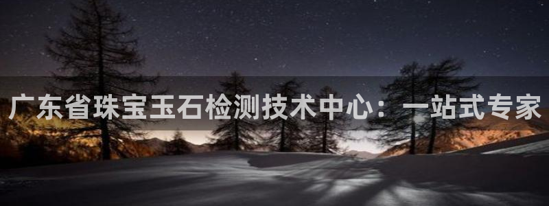 新宝股东王听2 5 5：广东省珠宝玉石检测技术中心：一站式专家