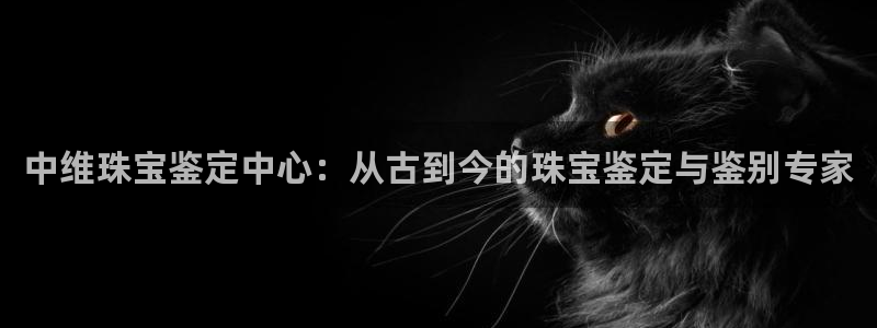 新宝5登录注册：中维珠宝鉴定中心：从古到今的珠宝鉴定与鉴别专家