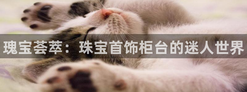 新宝5娱乐家：瑰宝荟萃：珠宝首饰柜台的迷人世界