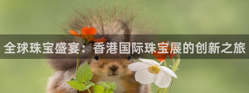 新宝5娱乐经：全球珠宝盛宴：香港国际珠宝展的创新之旅