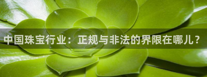 新宝5下载app：中国珠宝行业：正规与非法的界限在哪儿？