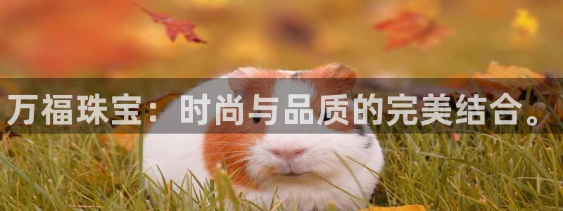 新宝5可靠吗：万福珠宝：时尚与品质的完美结合。