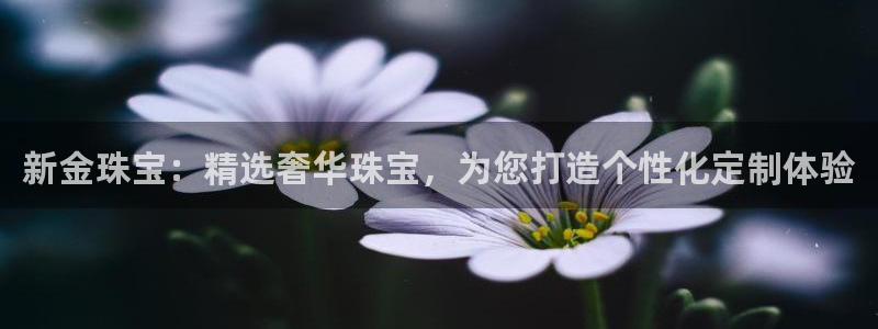 新宝5娱乐同：新金珠宝：精选奢华珠宝，为您打造个性化定制体验