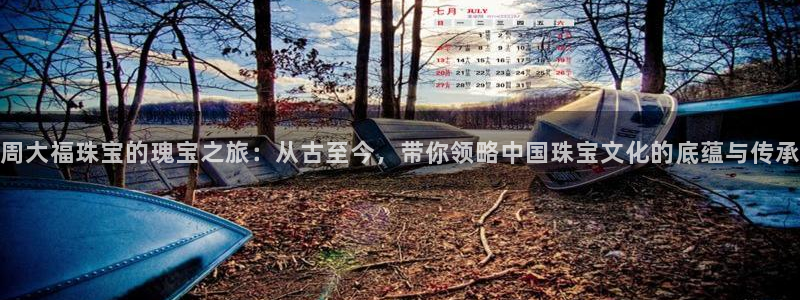 5新宝：周大福珠宝的瑰宝之旅：从古至今，带你领略中国珠宝文化的底蕴与传承