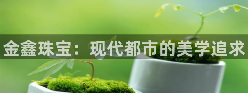 新宝5-：金鑫珠宝：现代都市的美学追求
