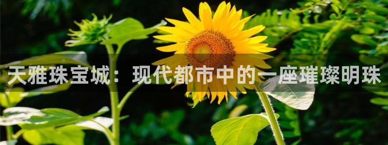 新宝5电脑登录网址：天雅珠宝城：现代都市中的一座璀璨明珠