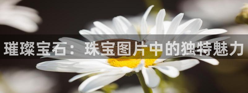 新宝5手机版：璀璨宝石：珠宝图片中的独特魅力