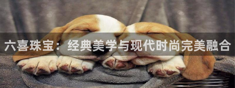 新宝股东张听2 5 5：六喜珠宝：经典美学与现代时尚完美融合