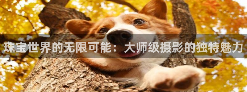 新宝5注册平台：珠宝世界的无限可能：大师级摄影的独特魅力