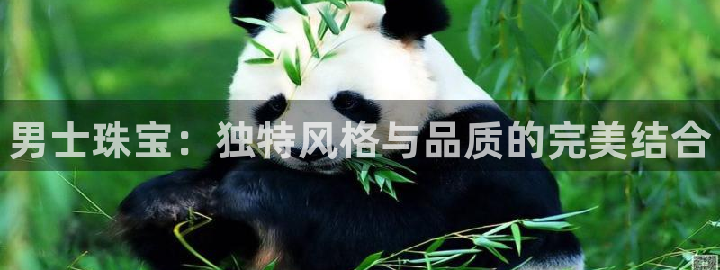 股票5G宝新：男士珠宝：独特风格与品质的完美结合