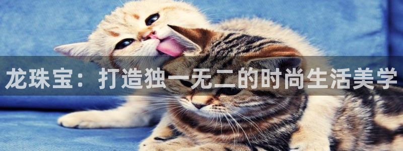 新宝5手机登陆：龙珠宝：打造独一无二的时尚生活美学