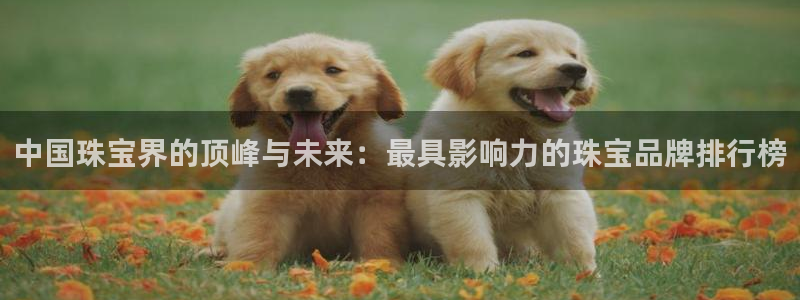 新宝5娱乐如：中国珠宝界的顶峰与未来：最具影响力的珠宝品牌排行榜