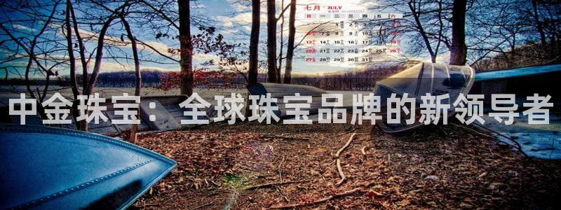 新宝5下载到桌面：中金珠宝：全球珠宝品牌的新领导者