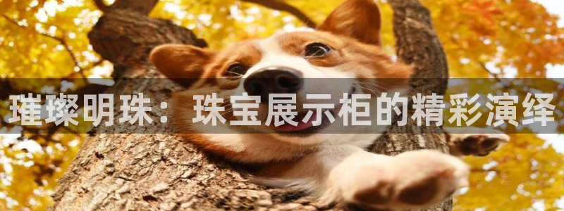 新宝5怎么代理：璀璨明珠：珠宝展示柜的精彩演绎