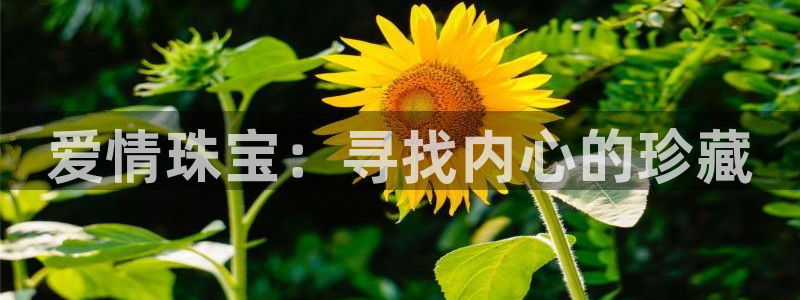 新宝5 注册：爱情珠宝：寻找内心的珍藏