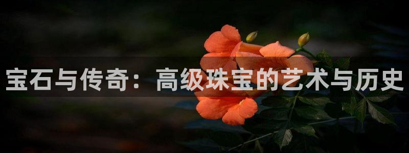 新宝5-：宝石与传奇：高级珠宝的艺术与历史