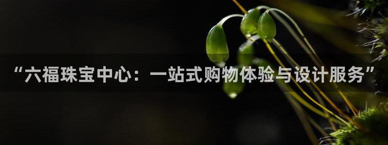 新宝5娱乐家：“六福珠宝中心：一站式购物体验与设计服务”