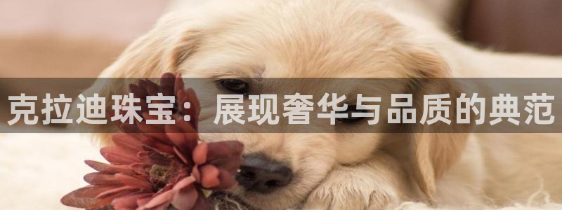 新宝5-测速：克拉迪珠宝：展现奢华与品质的典范