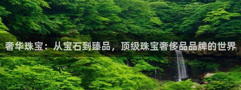 新宝新5：奢华珠宝：从宝石到臻品，顶级珠宝奢侈品品牌的世界