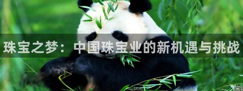 新宝xb5：珠宝之梦：中国珠宝业的新机遇与挑战