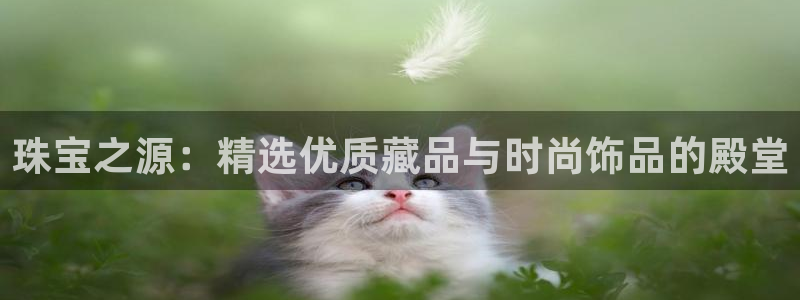 新宝5手机版登录：珠宝之源：精选优质藏品与时尚饰品的殿堂