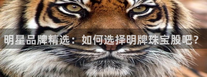 新宝5平台注册：明星品牌精选：如何选择明牌珠宝股吧？