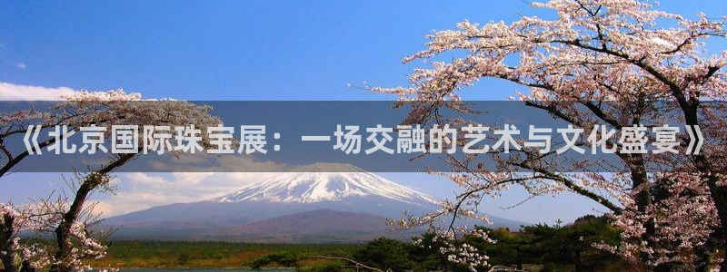 新宝5可靠吗：《北京国际珠宝展：一场交融的艺术与文化盛宴》
