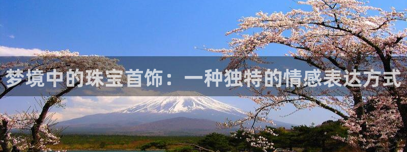 新宝股东瞧听2 5 5：梦境中的珠宝首饰：一种独特的情感表达方式