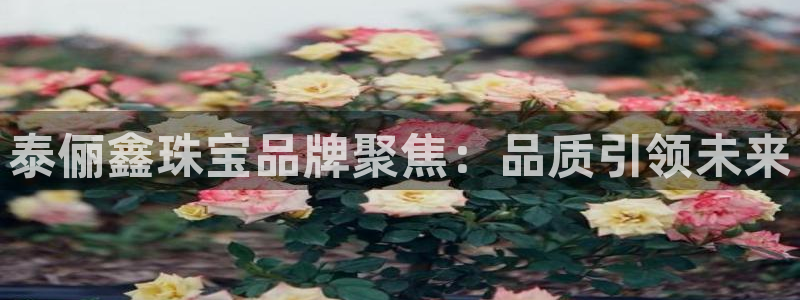 新宝5开好：泰俪鑫珠宝品牌聚焦：品质引领未来