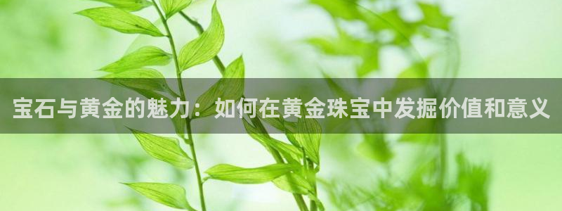 新宝5王问74OOO5：宝石与黄金的魅力：如何在黄金珠宝中发掘价值和意义
