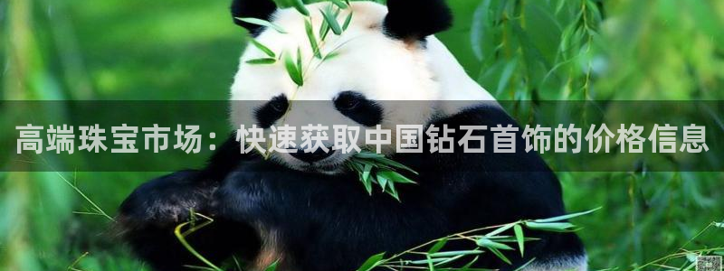新宝5如何注册：高端珠宝市场：快速获取中国钻石首饰的价格信息