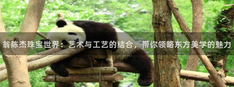 新宝5总代：翁陈杰珠宝世界：艺术与工艺的结合，带你领略东方美学的魅力