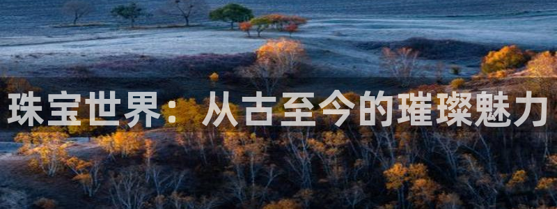 新宝5开好：珠宝世界：从古至今的璀璨魅力