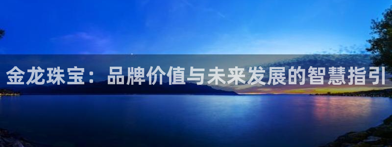 新宝5寂创33300散：金龙珠宝：品牌价值与未来发展的智慧指引