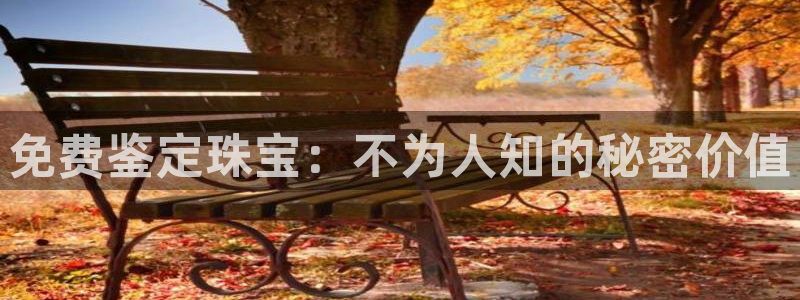 新宝5球维33 300：免费鉴定珠宝：不为人知的秘密价值