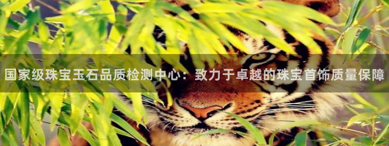 新宝5王问74OOO5：国家级珠宝玉石品质检测中心：致力于卓越的珠宝首饰质量保障