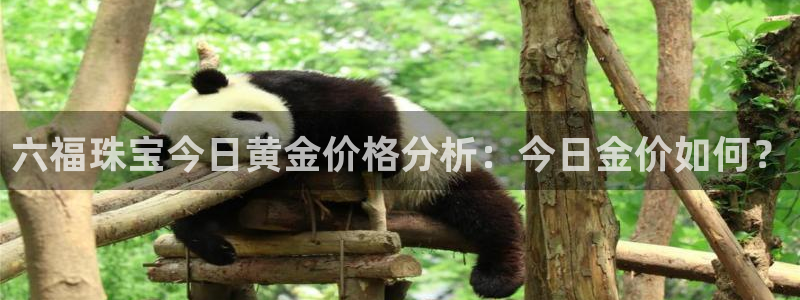 新宝速5：六福珠宝今日黄金价格分析：今日金价如何？