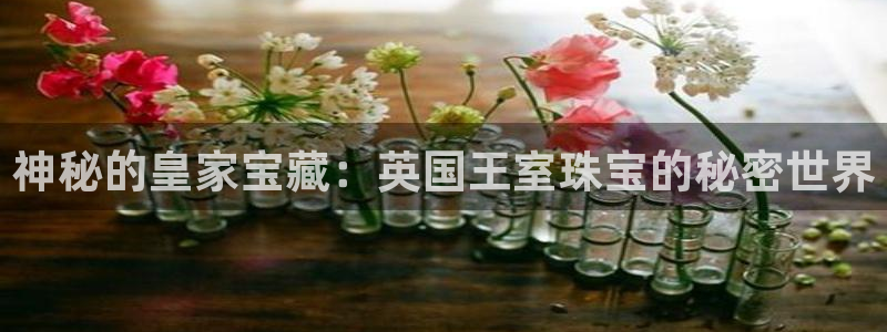 新宝5下载 迅雷下载：神秘的皇家宝藏：英国王室珠宝的秘密世界