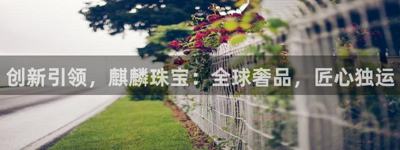 新宝6霸哥5：创新引领，麒麟珠宝：全球奢品，匠心独运