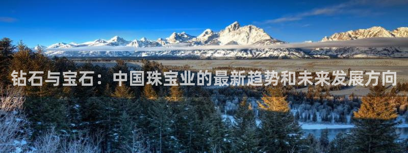 新宝5登录注册：钻石与宝石：中国珠宝业的最新趋势和未来发展方向