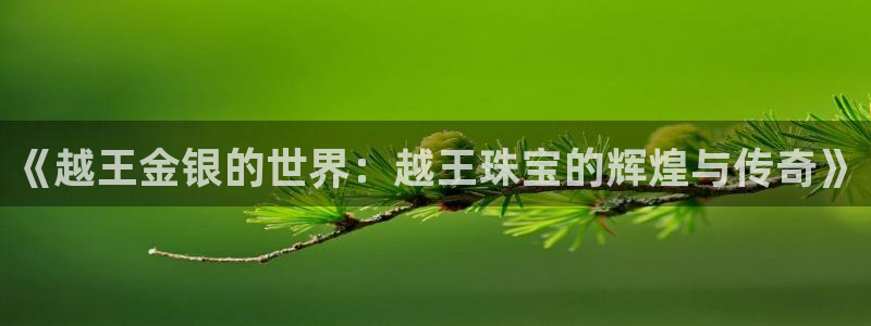 新宝5平台：《越王金银的世界：越王珠宝的辉煌与传奇》
