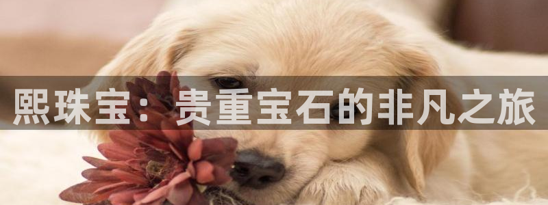 新宝5注册流程：熙珠宝：贵重宝石的非凡之旅