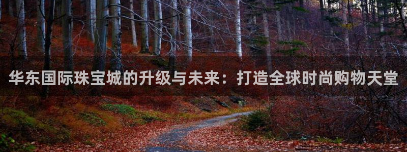 新宝5月：华东国际珠宝城的升级与未来：打造全球时尚购物天堂