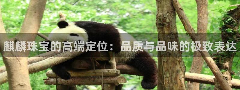 新宝5d：麒麟珠宝的高端定位：品质与品味的极致表达