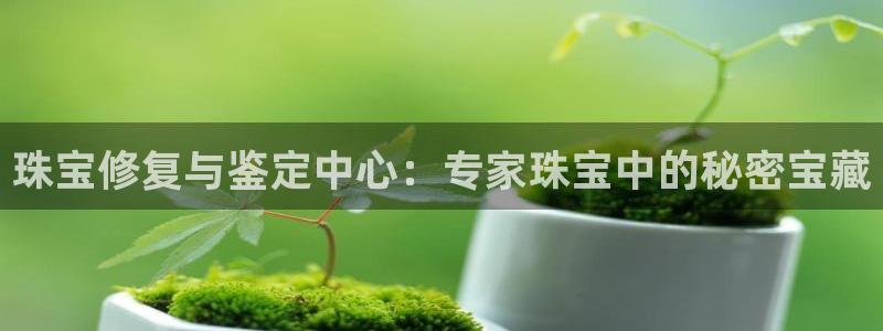 有人知道新宝5么：珠宝修复与鉴定中心：专家珠宝中的秘密宝藏