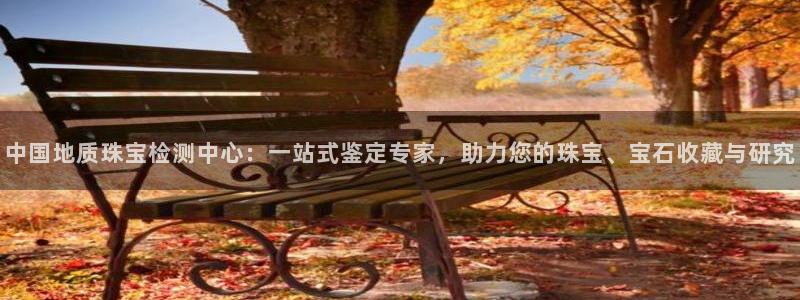 新宝5手机版：中国地质珠宝检测中心：一站式鉴定专家，助力您的珠宝、宝石收藏与研究