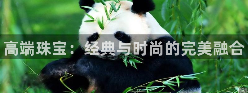 新宝5首页：高端珠宝：经典与时尚的完美融合