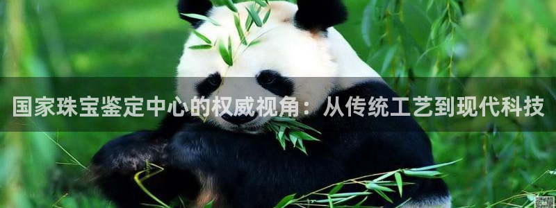 2022新宝骏rs 5：国家珠宝鉴定中心的权威视角：从传统工艺到现代科技