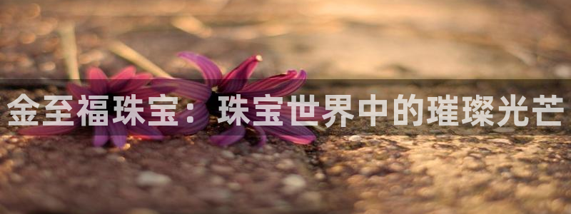 新宝5官方下载地址：金至福珠宝：珠宝世界中的璀璨光芒