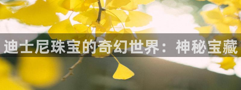 新宝5登陆地址：迪士尼珠宝的奇幻世界：神秘宝藏